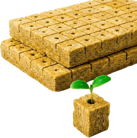 EKIMOS Cubos de Lana de Roca para Germinación (Pack 100 ud.)
