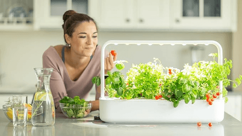 Click & Grow Smart Garden 9 Cápsulas