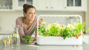 Click & Grow Smart Garden 9 Cápsulas