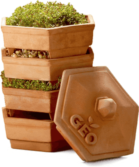 GEO TerradiSiena germinador de terracota GEO-T150