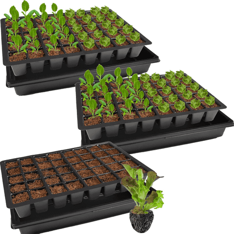 KRONLY Set de bandejas de siembra para germinación