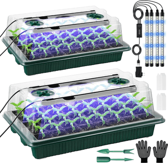 VEEKAY Kit de Semilleros (2 unidades, 80 celdas)
