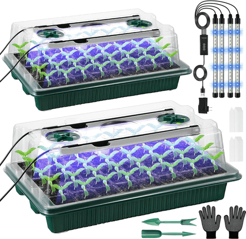 VEEKAY Kit de Semilleros (2 unidades, 80 celdas)