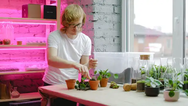Iluminación para huerto urbano: por qué es necesaria y cómo usarla bien en casa