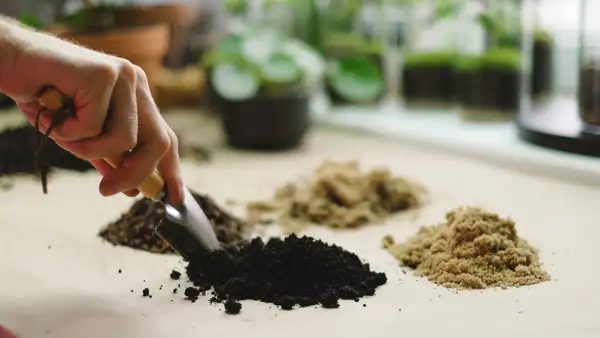 Nutrientes y sustratos para huerto urbano: guía para elegir bien según tu planta