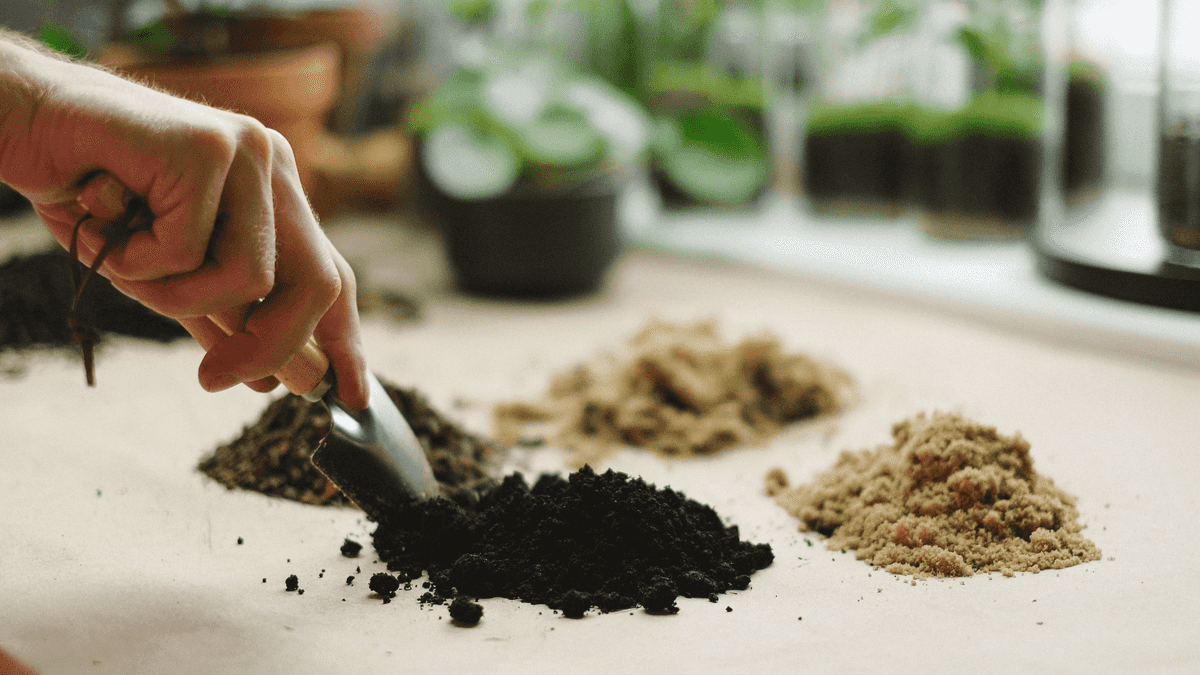Nutrientes y sustratos para huerto urbano: guía para elegir bien según tu planta