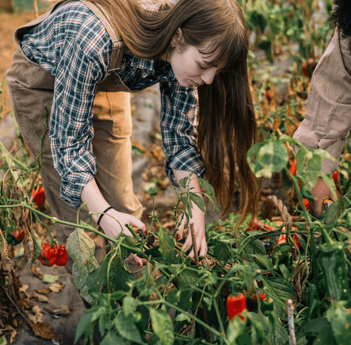Los 10 Cultivos que Crecen Más Rápido en tu Huerto
